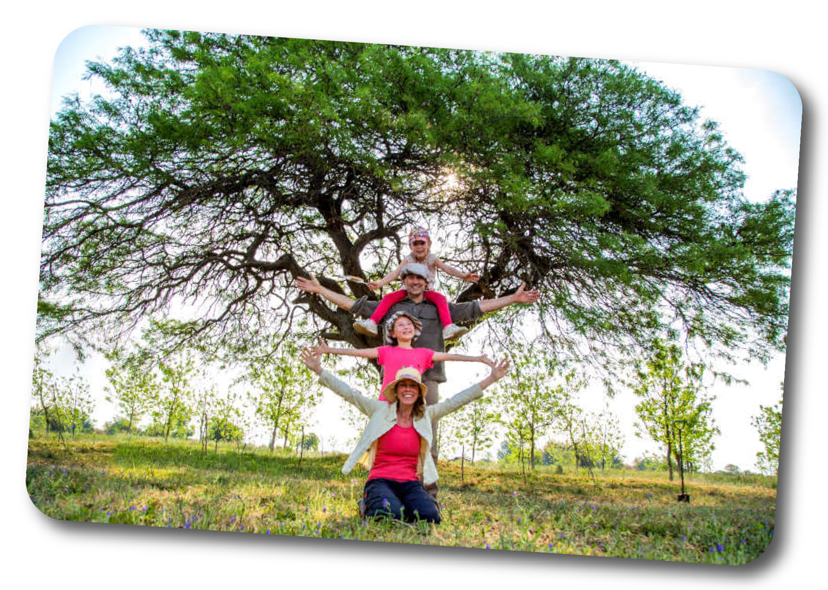 Árbol Mago