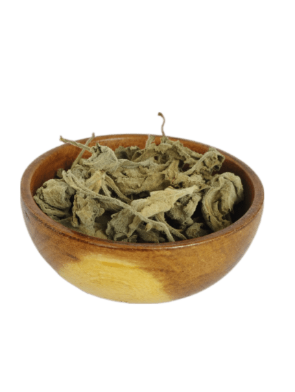 Boldo brasileño x15grs